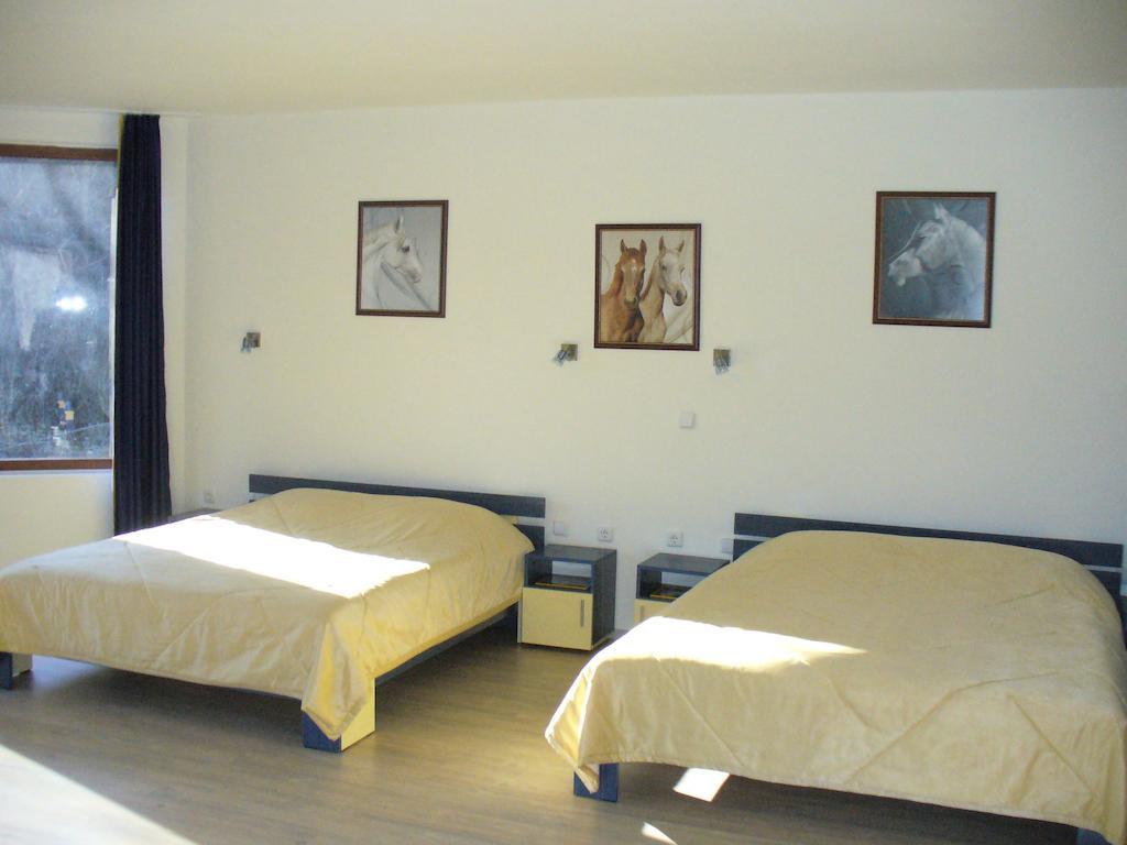 Guest House Alfa Daniel Balkanets  Quarto foto